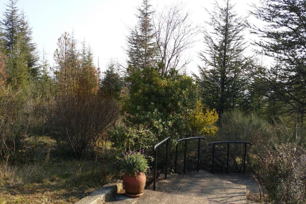 Villa La Lurette, Appartement Et Studio Saint-Étienne-les-Orgues المظهر الخارجي الصورة