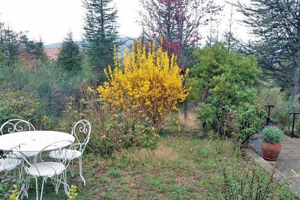 Villa La Lurette, Appartement Et Studio Saint-Étienne-les-Orgues المظهر الخارجي الصورة